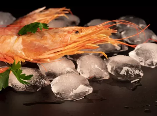 shrimp food poisoning