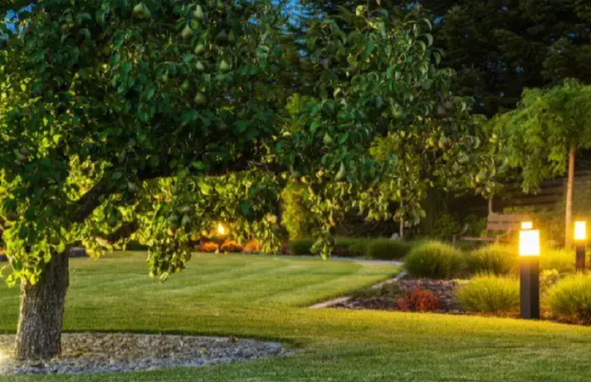 landscape design in Central Coast