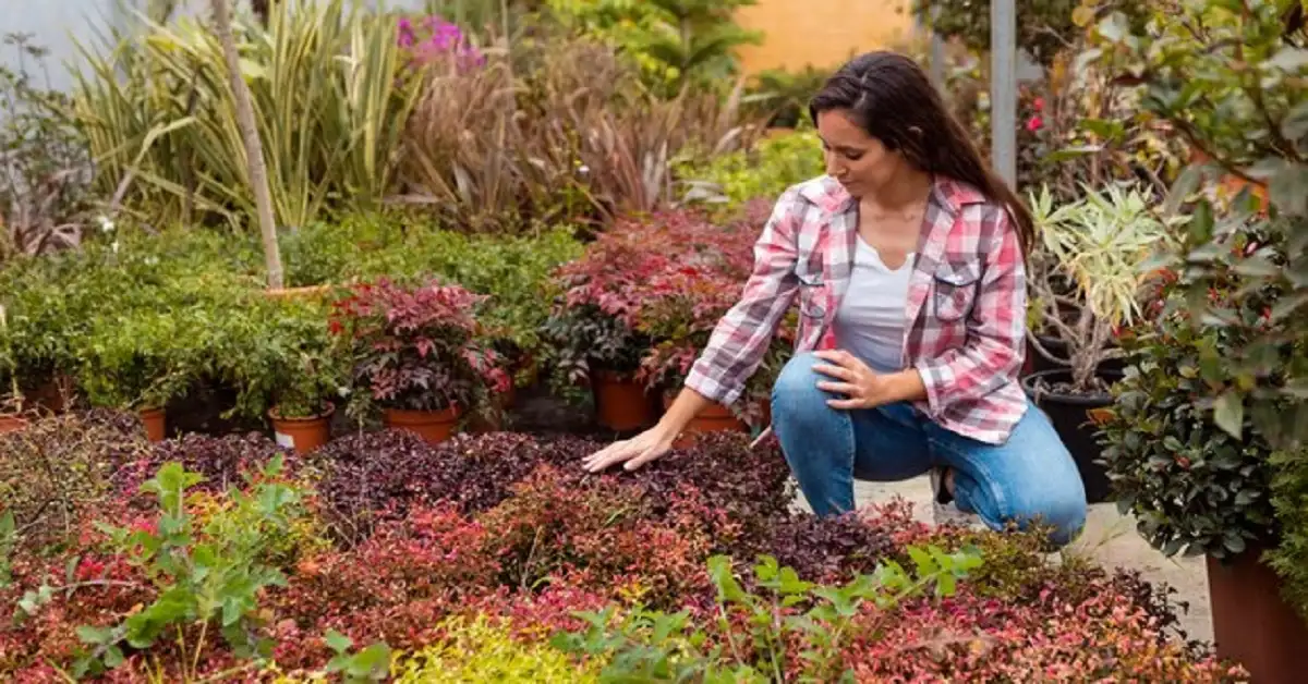 Unleash the Power of Organic Gardening for Vibrant Plant Health